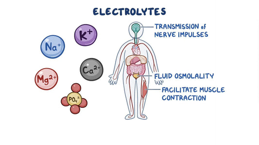 Electrolitos: Qué son y por qué son esenciales para todas las edades