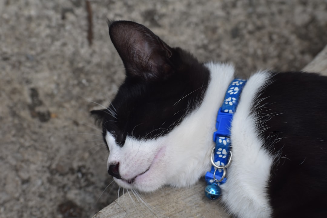 ¿Por qué es importante dormir bien? Claves para un descanso reparador y una hidratación óptima